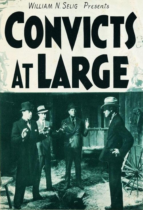 Convicts at Large 1938 official movie poster