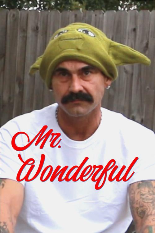 Mr. Wonderful 2022 official movie poster
