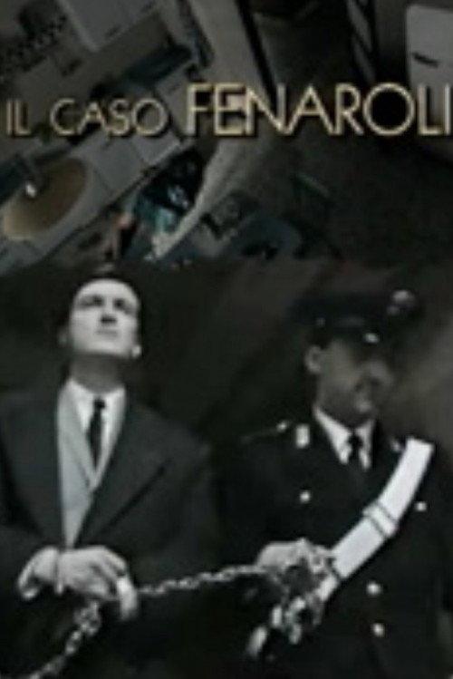 Il caso Fenaroli 1996 official movie poster