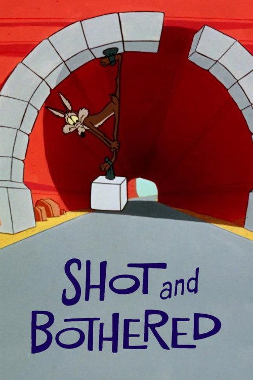 Shot and Bothered 1966 official movie poster