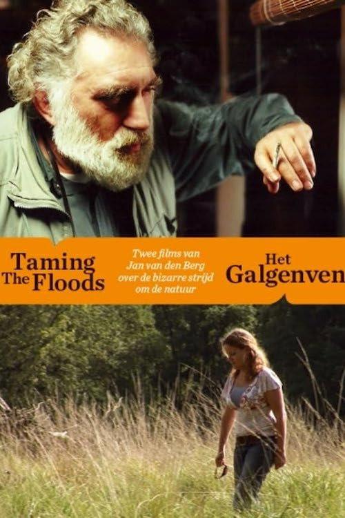 Taming the Floods 1999 official movie poster