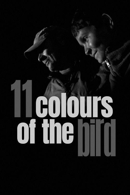 11 Colours of the Bird 2020 official movie poster