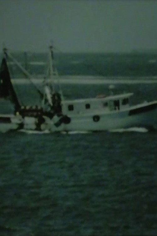 Shrimp Boat Log 2006 official movie poster