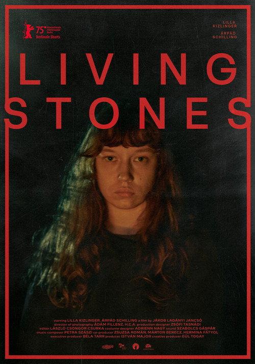 Living Stones 2025 official movie poster