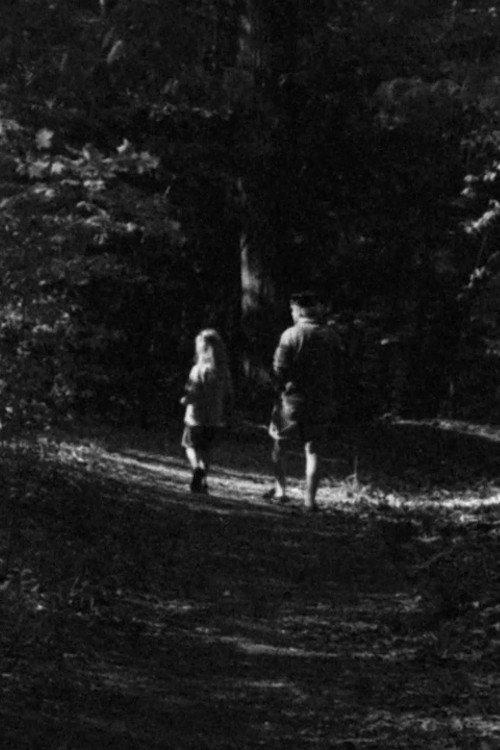 Forest Walk 2011 official movie poster