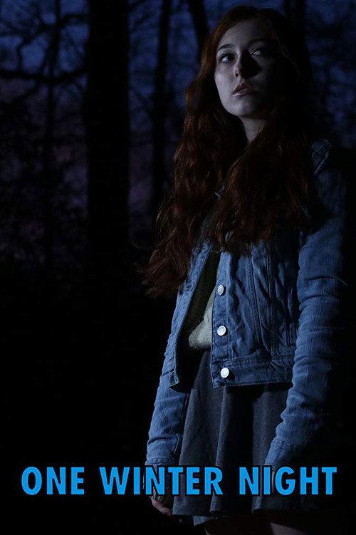 One Winter Night 2019 official movie poster