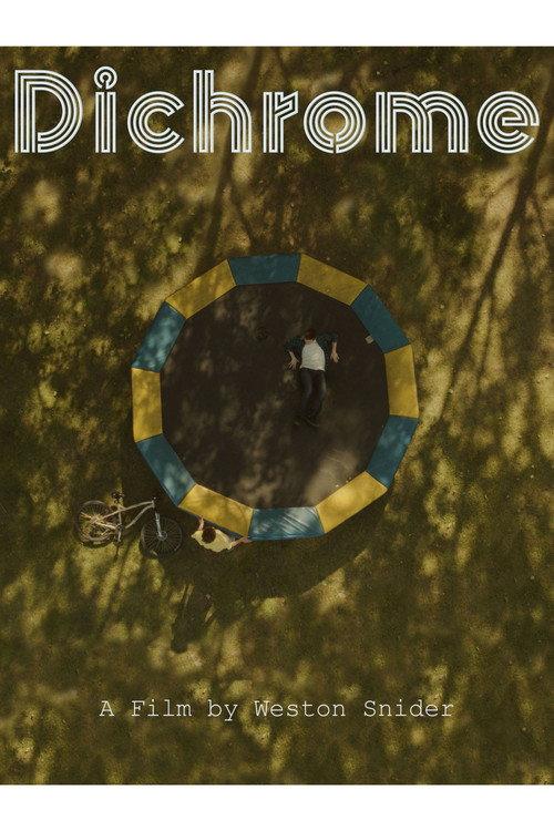 Dichrome 2020 official movie poster