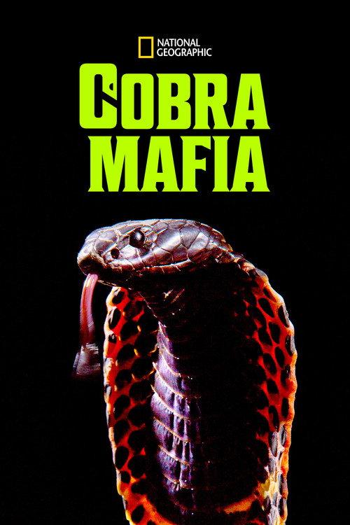 Cobra Mafia 2015 official movie poster
