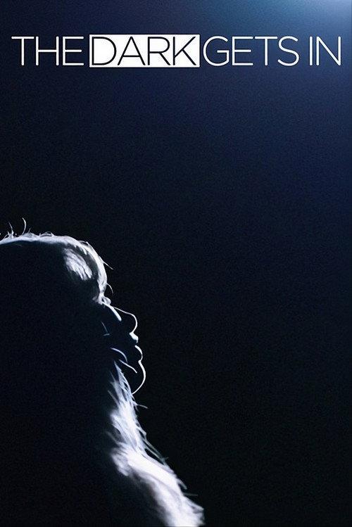 The Dark Gets In 2026 official movie poster