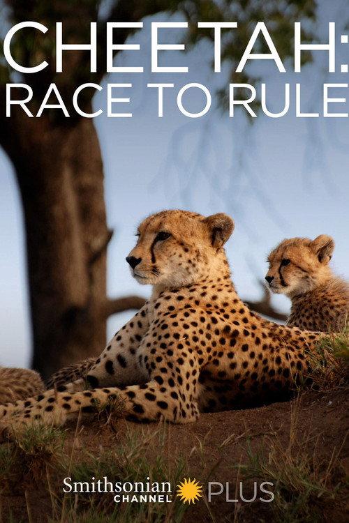 Cheetah: Race to Rule 2014 official movie poster