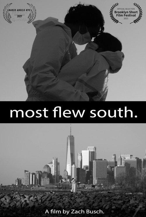 Most Flew South 2020 official movie poster