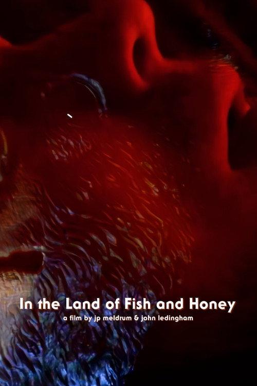 In The Land of Fish and Honey 2025 official movie poster