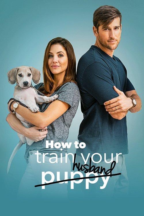 How to Train Your Husband 2018 official movie poster