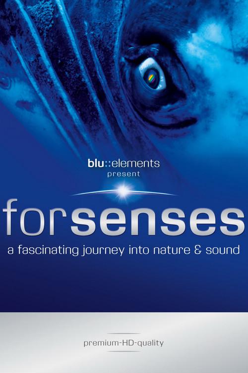 Forsenses - A Fascinating Journey into Nature & Sound 2009 official movie poster