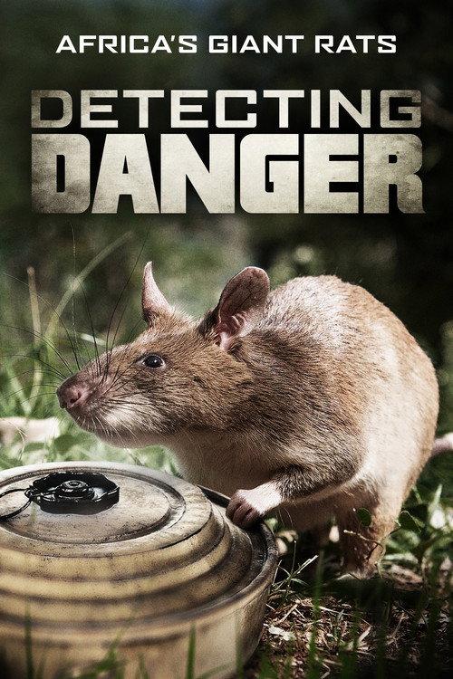 Detecting Danger: Africa's Giant Rats 2019 official movie poster