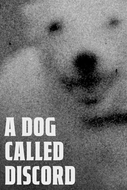 A Dog Called Discord 2023 official movie poster