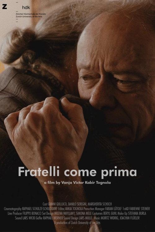 Brothers Again 2019 official movie poster