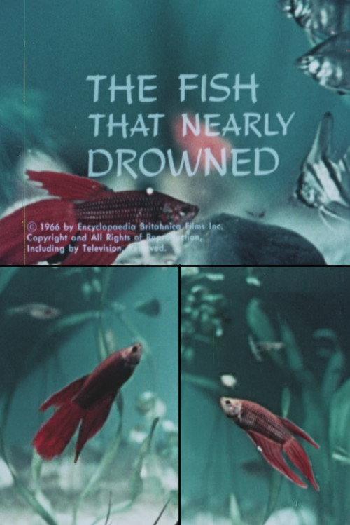 The Fish That Nearly Drowned 1966 official movie poster