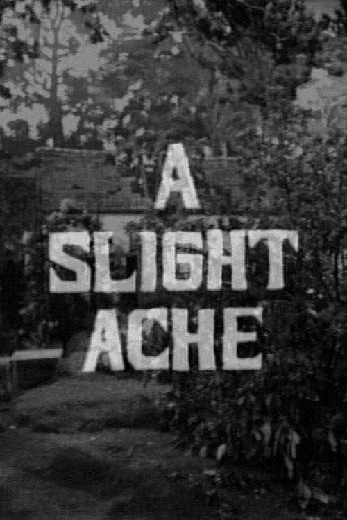 A Slight Ache 1967 official movie poster