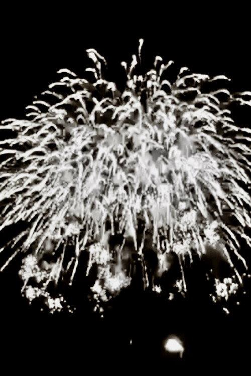 TOKYO FIREWORKS 2019 official movie poster
