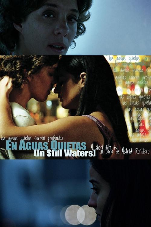 In Still Waters 2011 official movie poster