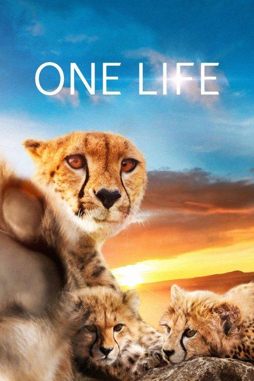 One Life 2011 official movie poster