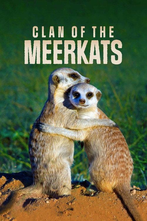 Clan of the Meerkat 2010 official movie poster