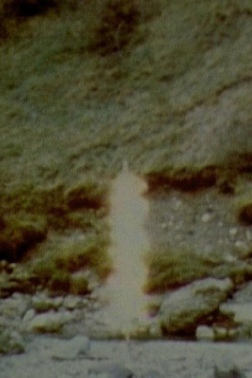 Six Pieces 1978 official movie poster