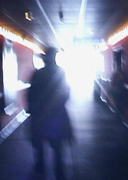 Stan Brakhage Exits the Cinema and Enters the Light of Day 2002 official movie poster