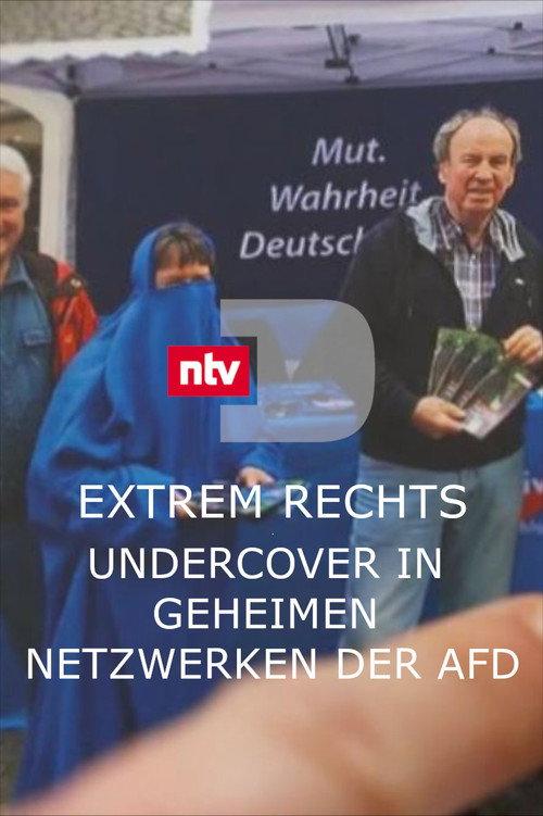 Extrem rechts - Undercover in geheimen Netzwerken der AfD 2024 official movie poster