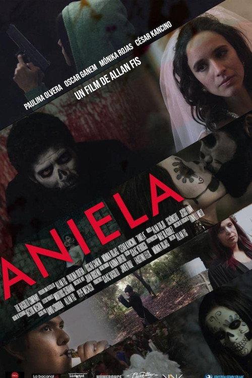 Aniela 2020 official movie poster