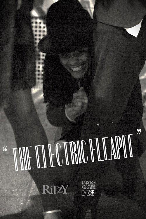 The Electric Fleapit 2023 official movie poster