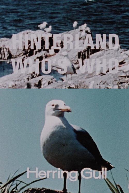 Hinterland Who's Who: Herring Gull 1967 official movie poster
