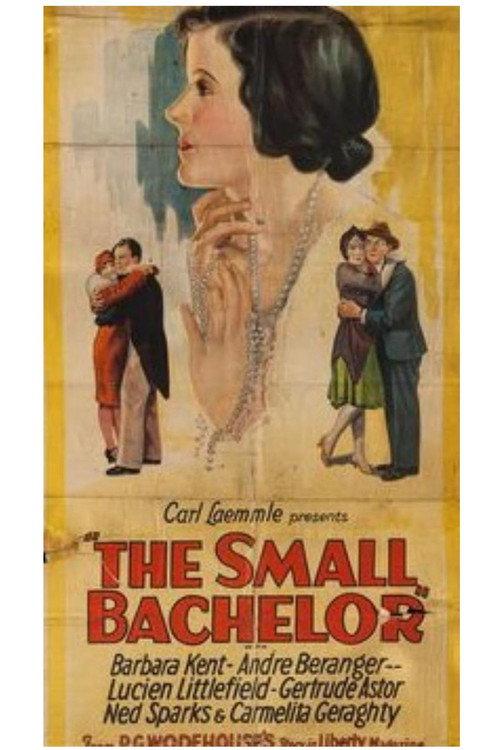 The Small Bachelor 1927 official movie poster