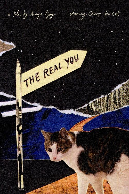 The Real You 2026 official movie poster