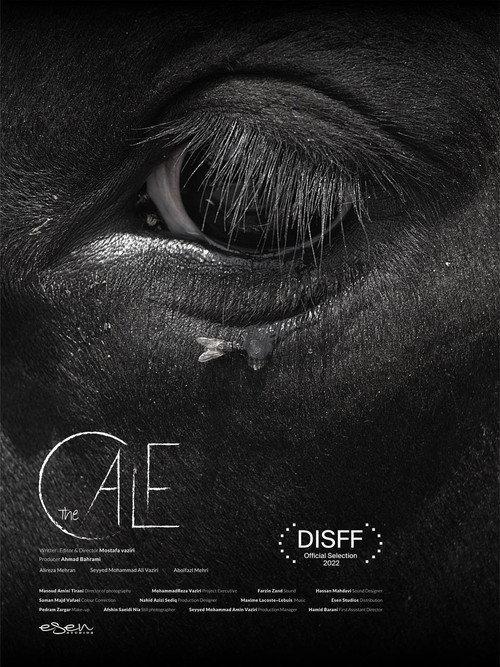 The Calf 2022 official movie poster