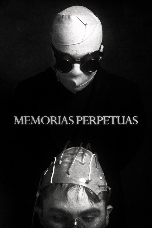 Perpetual memories 2023 official movie poster