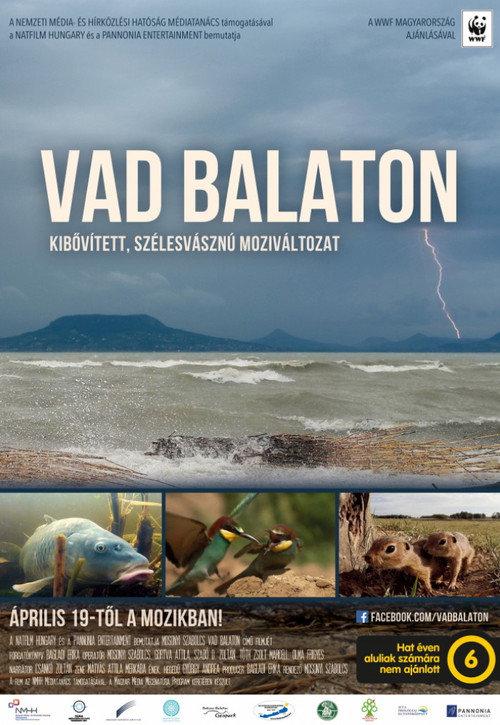 Balaton 2018 official movie poster