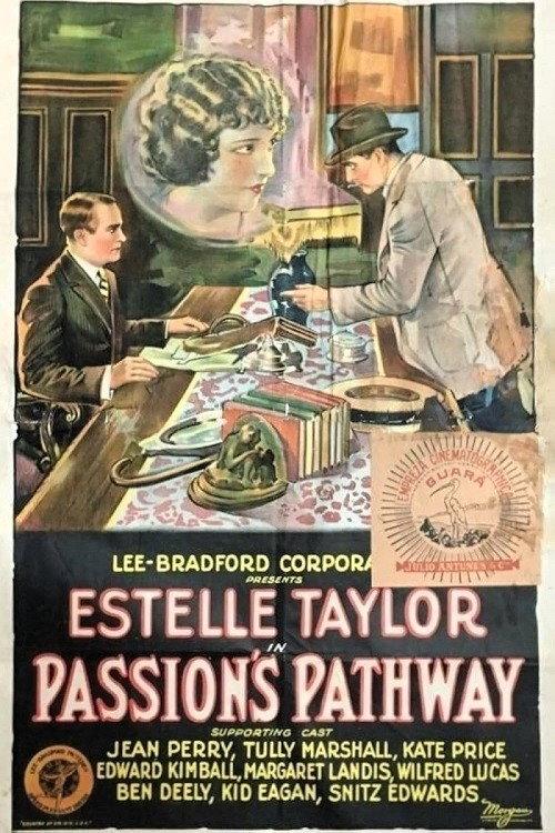 Passion's Pathway 1924 official movie poster