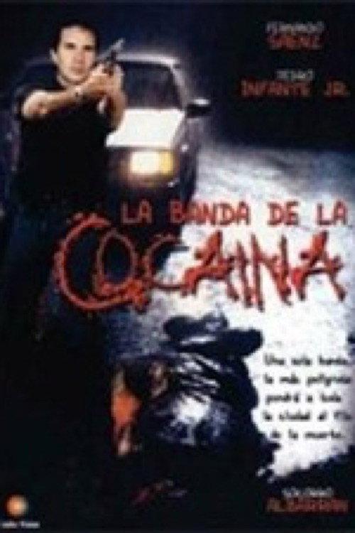 Un ingeniero en la capital 1999 official movie poster