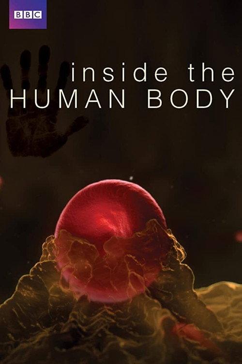 Inside the Human Body 2011 official movie poster