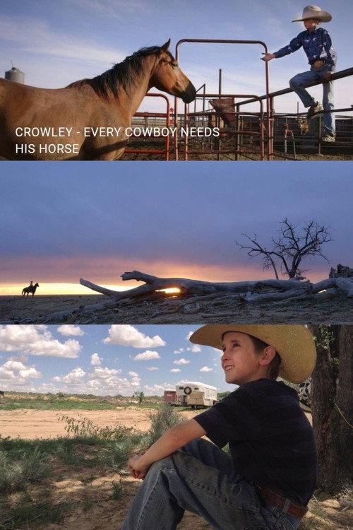 Crowley: Every Cowboy Needs His Horse 2016 official movie poster
