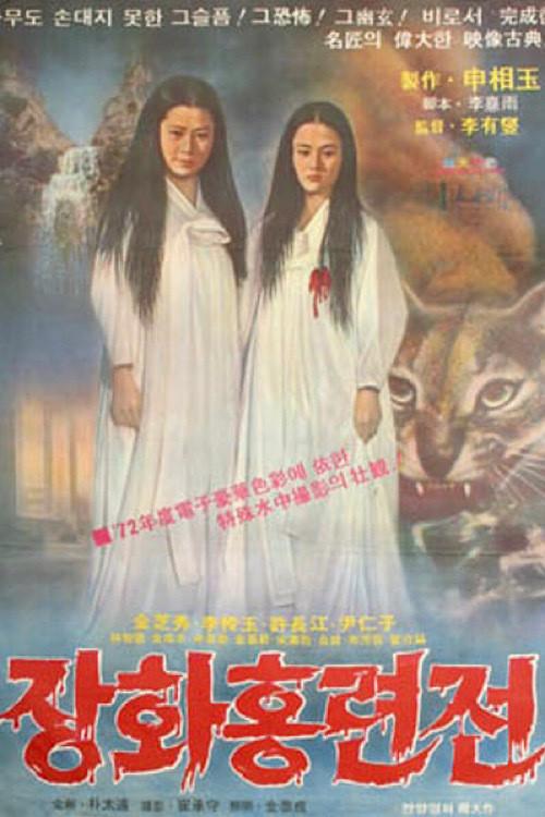A Story of Two Sisters 1972 official movie poster