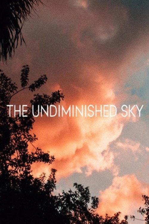The Undiminished Sky 2017 official movie poster