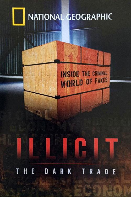 Illicit: The Dark Trade 2008 official movie poster