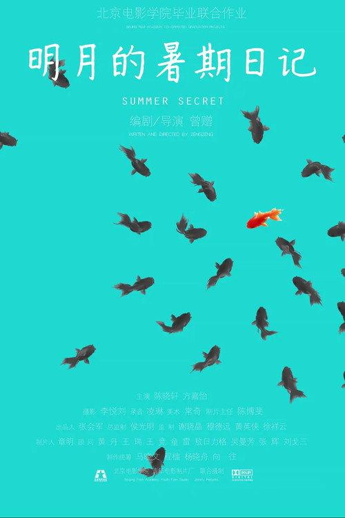 Summer Secret 2014 official movie poster