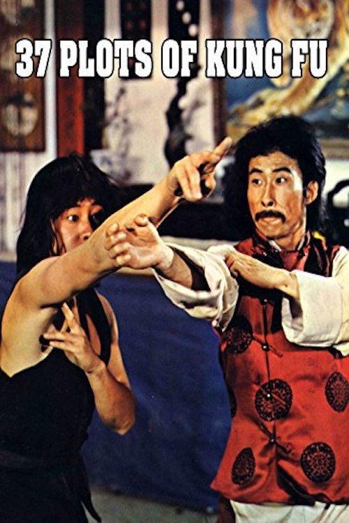 37 Plots of Kung Fu 1979 official movie poster