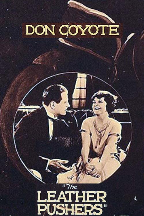 Don Coyote 1923 official movie poster