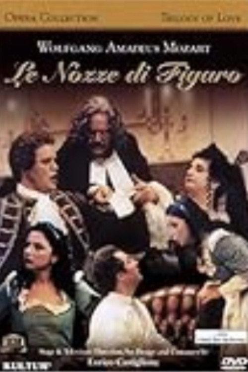 The Weddings of Figaro 2006 official movie poster