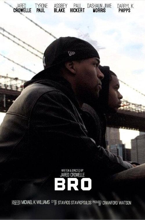 Bro 2014 official movie poster